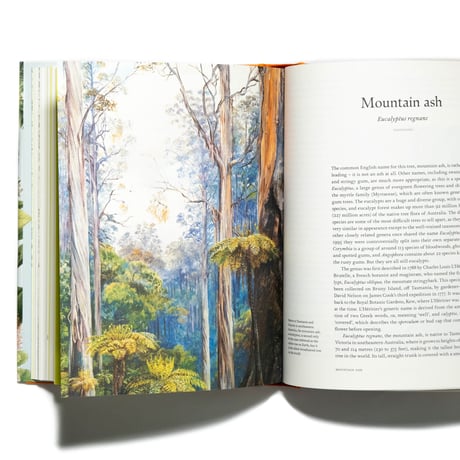 Remarkable Trees