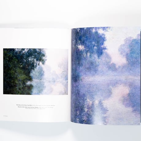 Monet: The Bigger Picture