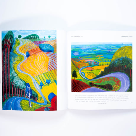 Hockney's Pictures