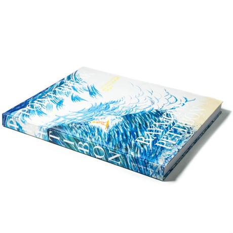 Point Break: Raymond Pettibon, Surfers and Waves