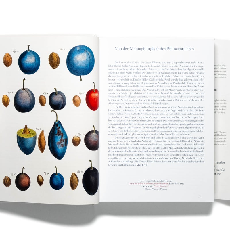 A Garden Eden. Masterpieces of Botanical Illust