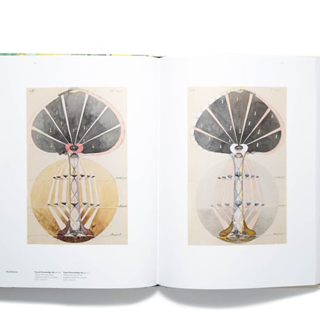 Hilma af Klint: Paintings for the Future