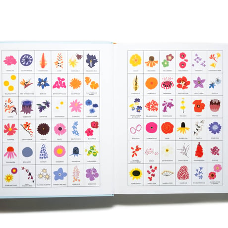 Super Bloom: A Field Guide to Flowers for Every Gardener
