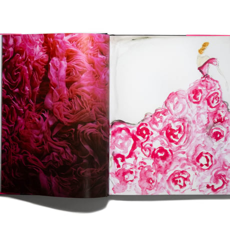 Christian Siriano: Dresses to Dream About