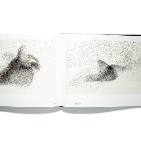 Søren Solkær: Starling