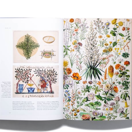 Plant Magick. The Library of Esoterica