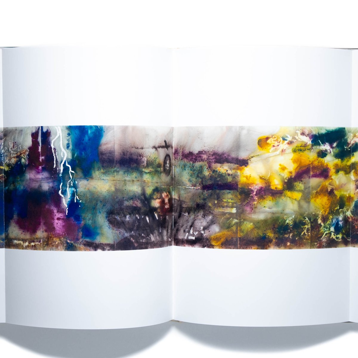 The Spirit of Painting. 蔡国強 The Spirit of Painting. 蔡国強 - メルカリ