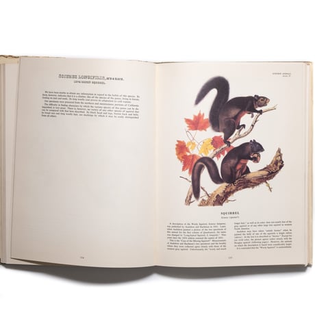 The Imperial Collection of Audubon Animals