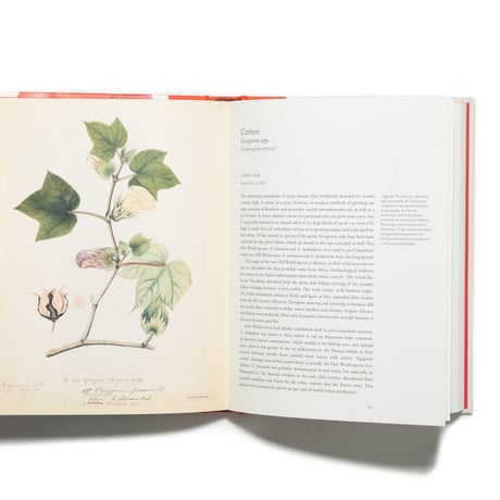 Remarkable Plants