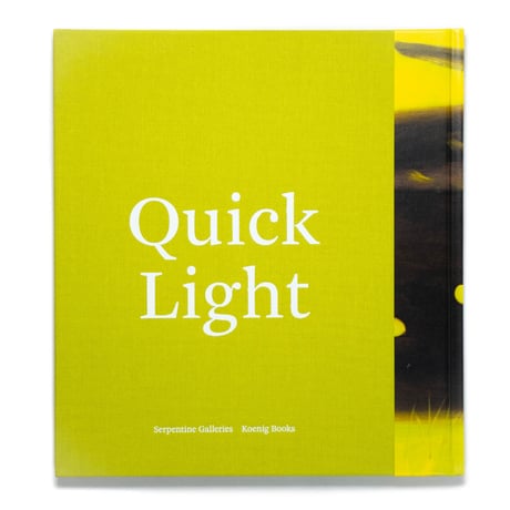 Alex Katz: Quick Light