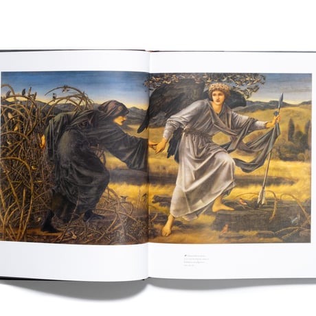 Edward Burne-Jones: The Pre-Raphaelites and the North