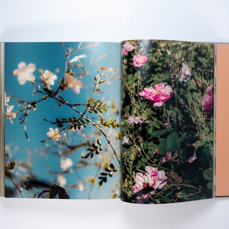 Louis Vuitton: A Perfume Atlas
