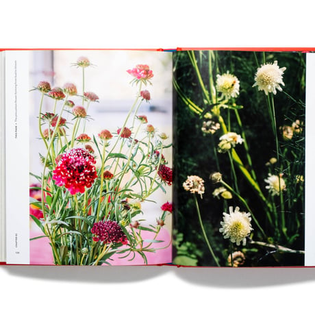 The Super Bloom Handbook