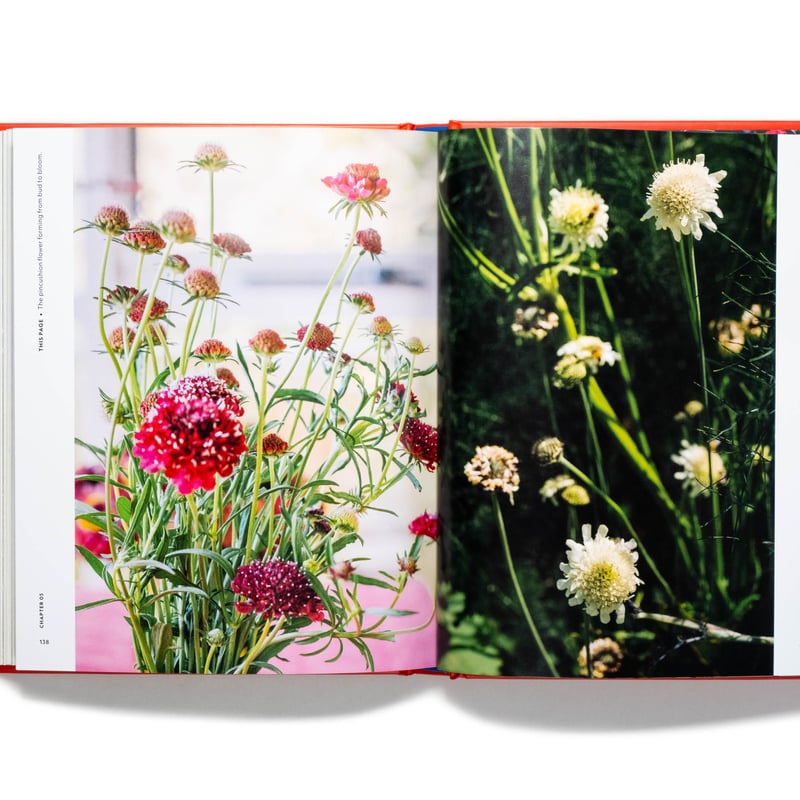 CLASSIC FLOWER アートブック The Super Bloom Handbook | Art Book Iskusstvo