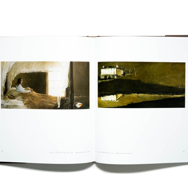Andrew Wyeth: Memory and Magic | Art Book Iskus