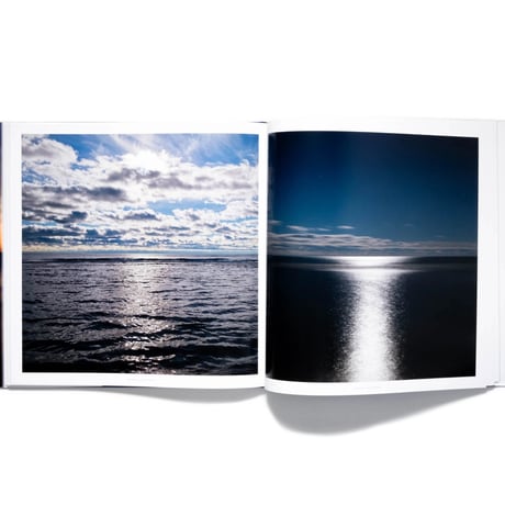 Lucinda Devlin: Lake Pictures
