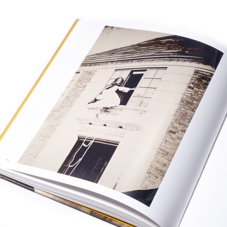 Victorian Giants : The Birth of Art Photography