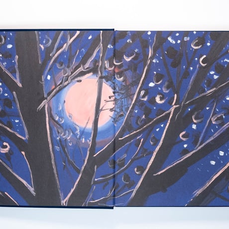 Ann Craven: Twelve Moons