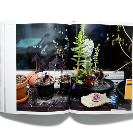 Wolfgang Tillmans: To look without fear