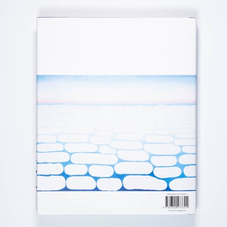 Georgia O'Keeffe: The Late Work