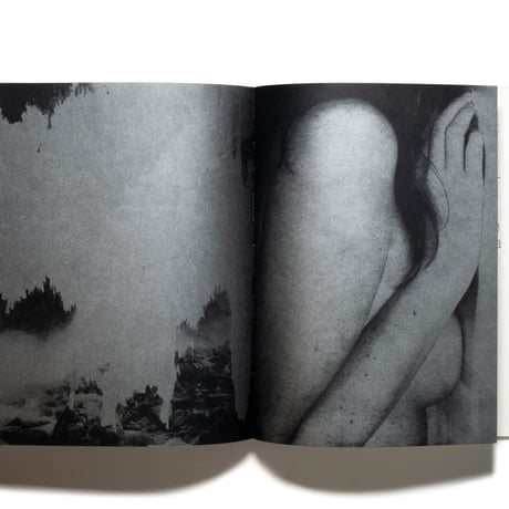 Julie van der Vaart: Blind Spot