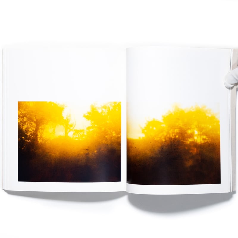 Lawrence Carroll: Ghost House | Art Book Iskusstvo