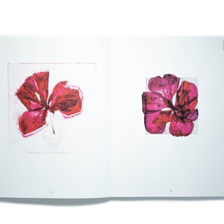 Brigitte Lustenberger: An Apparition of Memory