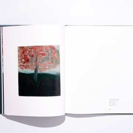 By Land, Air, Home, and Sea: The World of Frank Walter