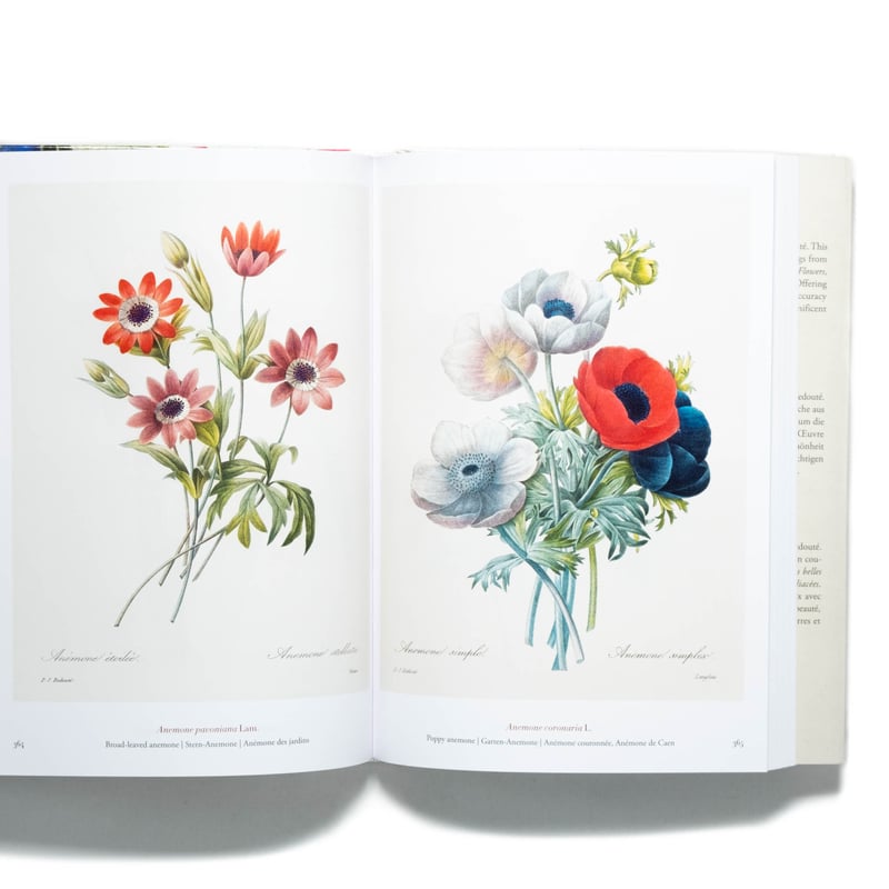 ピエール=ジョゼフ・ルドゥーテ 画集「Redoute's Bouquets」 Redouté: The Book of Flowers. 40th Ed. | Art Bo