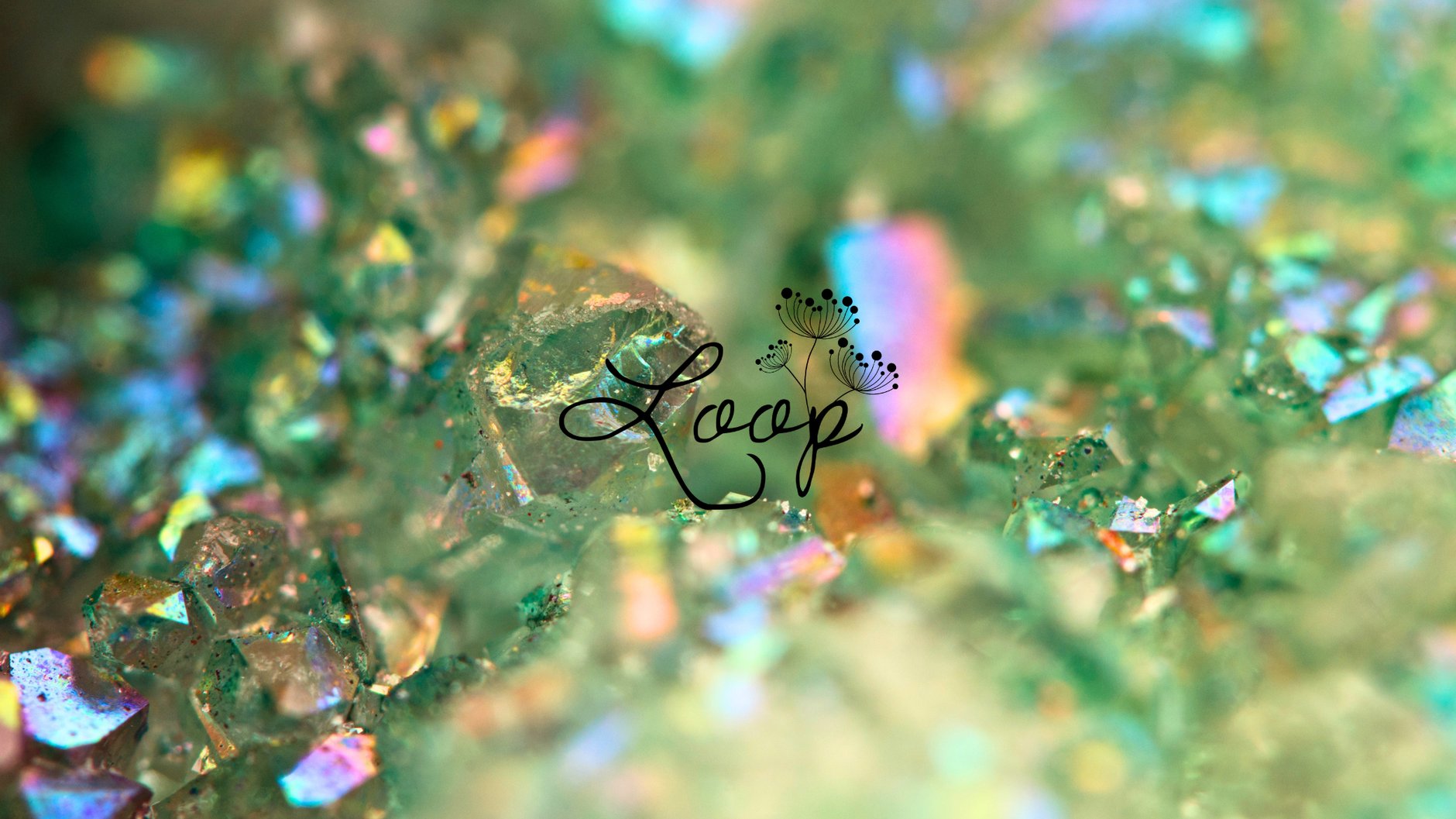 Loop.212 ONLINE STORE