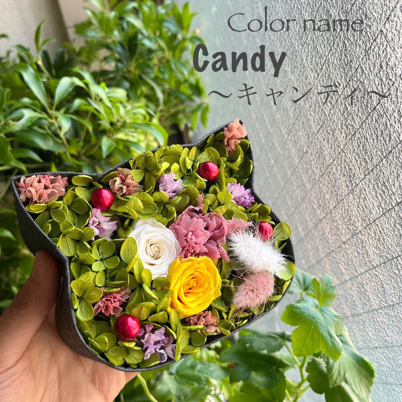 こねこばこ Candy ～キャンディ～ オリジナル 猫型 フラワーボックス