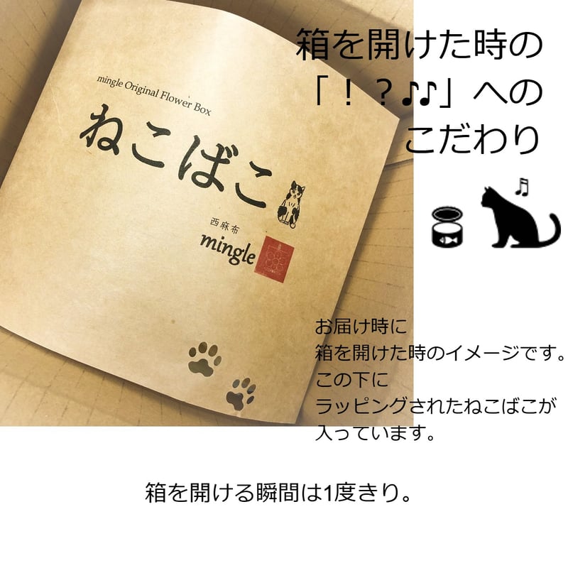 ねこばこ Sophia ～ソフィア～ オリジナル 猫型 フラワーボックス