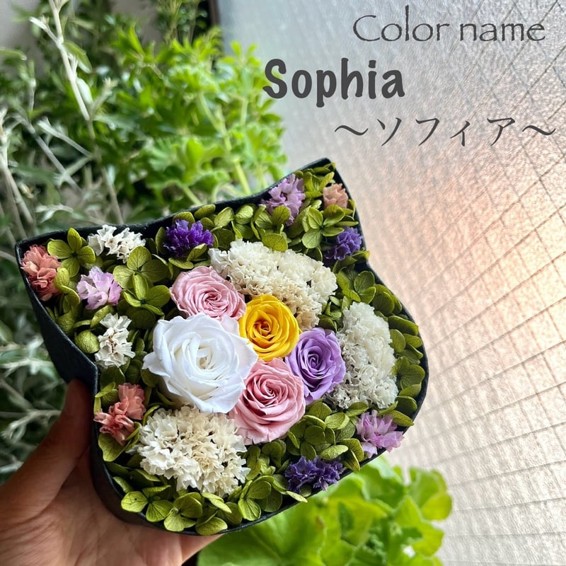 ねこばこ Sophia ～ソフィア～ オリジナル 猫型 フラワーボックス