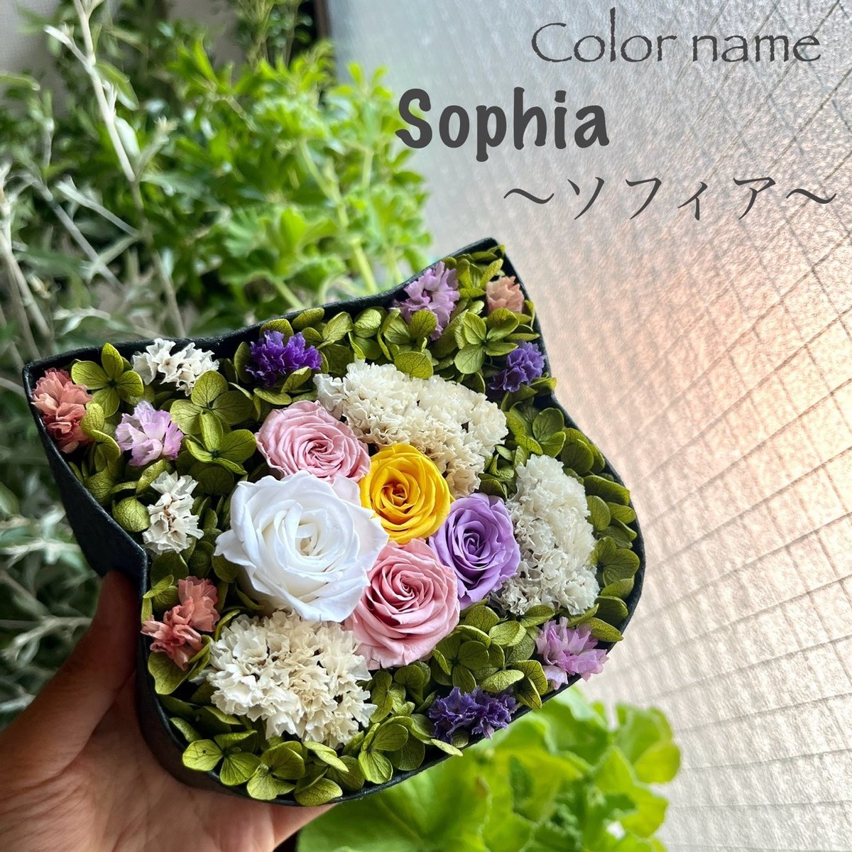 ねこばこ Sophia ～ソフィア～ オリジナル 猫型 フラワー
