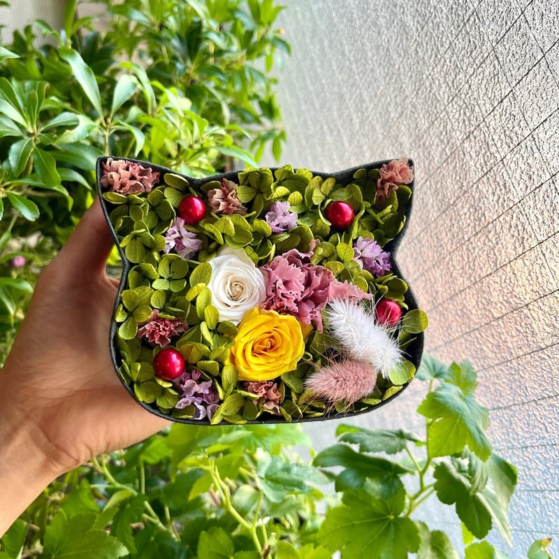 こねこばこ Candy ～キャンディ～ オリジナル 猫型 フラワーボックス