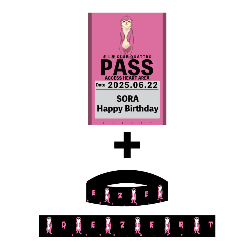 SORA生誕 記念・パス風ステッカー+ラバーバンドセット | DEZERT