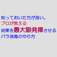 知っておいたほうがよい。プロが教える効果を最大限発揮させるバラの消毒のやり方　　この画像をクリック
