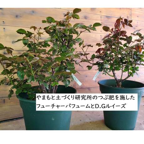 やまもと土づくり研究所のつぶ肥  800g　エコパッケージ