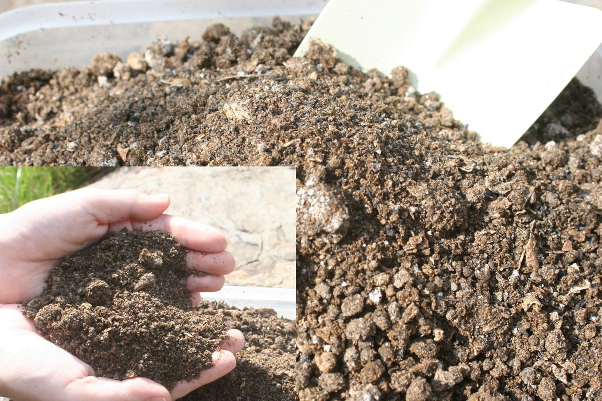 やまもと。様4点おまとめ fit=scale-down,w=1200