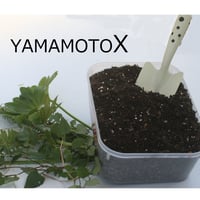 YAMAMOTO-X (元肥専用肥料)1,750グラム　元バラ園公園長が自ら開発した究極肥料