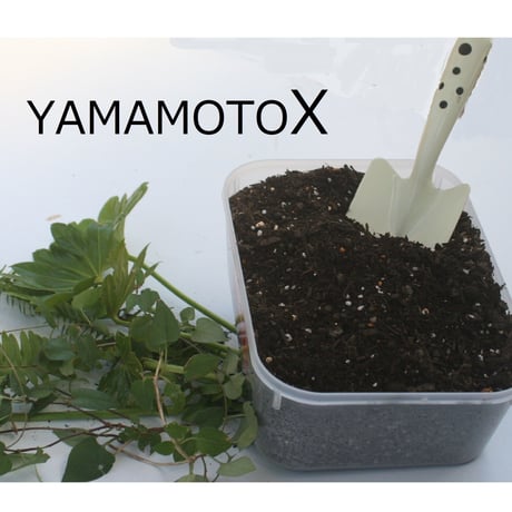 YAMAMOTO-X (元肥専用肥料)1,750グラム　元バラ園公園長が自ら開発した究極肥料