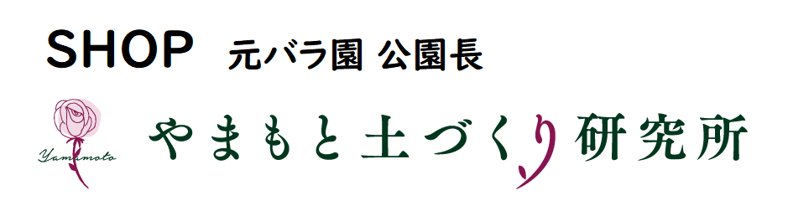 基本から学ぶ土と成形 基本から学ぶ土と成形 本