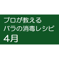 プロが教える バラの消毒レシピ　4月 　　 この画像をクリック