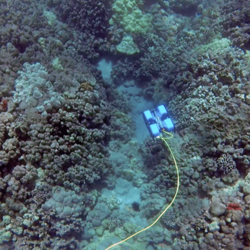 水中ドローン社】BlueROV2アクリル スラスター6個・ライト4個 水中ドローン社】BlueROV2アクリル スラスター6個・ライト4個