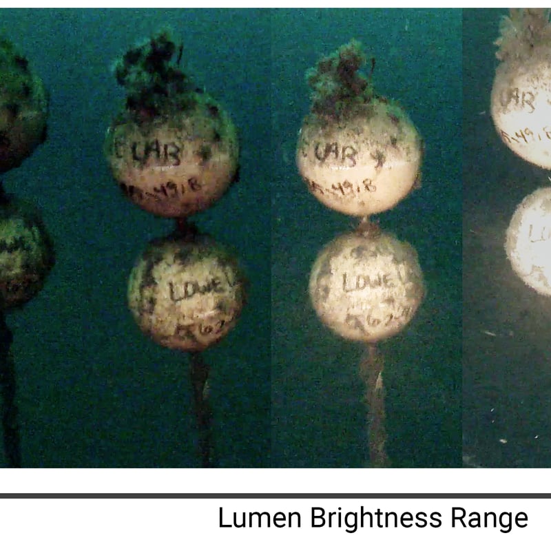R4版】Lumen海中ライト4灯1連 − Lumen Subsea Light (Pre-C