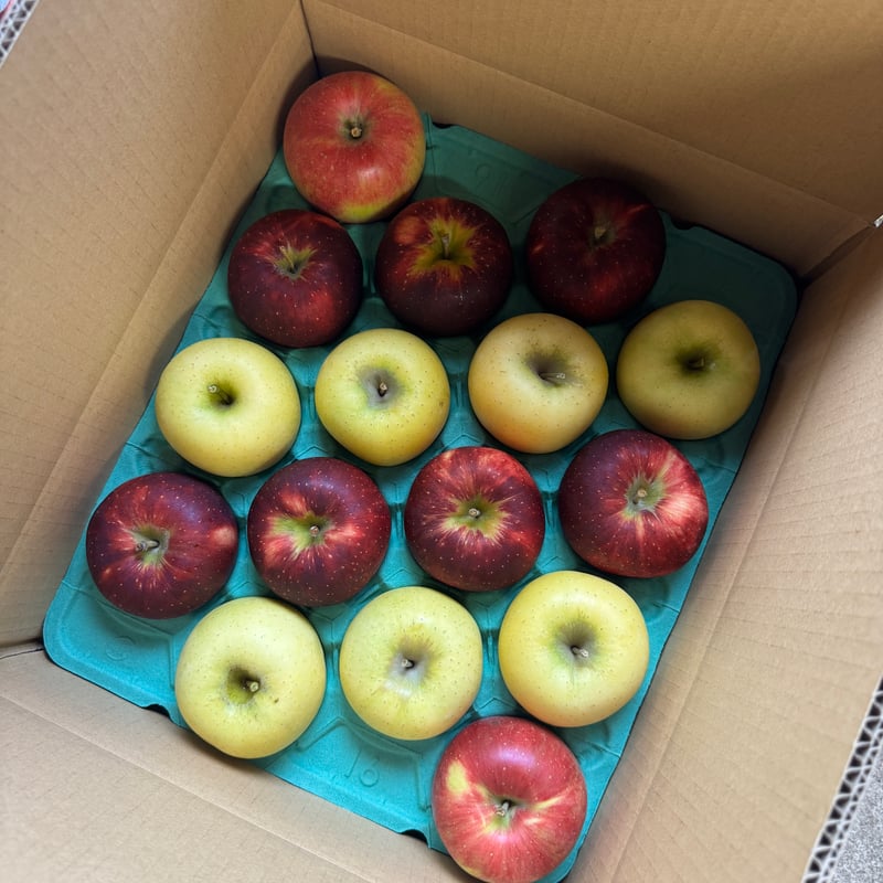 マツコの知らない世界】【信州アイドル】【園主推し】【信州林檎3兄弟