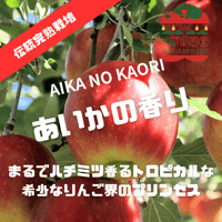 新春【1月中下旬〜順次発送】【まるでハチミツ香るトロピカルな幻のりんごシリーズ】【信州プレミアム】 あいかの香り  1〜5kg箱 【送料無料】