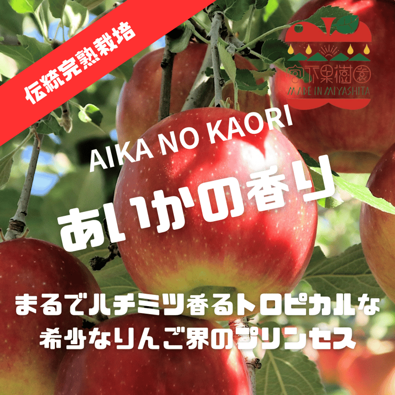 マツコの知らない世界】【12月下旬〜順次発送】【まるでハチミツ香る