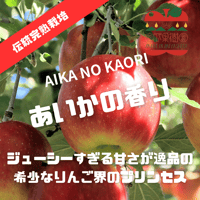 【ジューシーすぎる幻のりんごシリーズ】【信州プレミアム】 あいかの香り  1〜5kg箱 【送料無料】