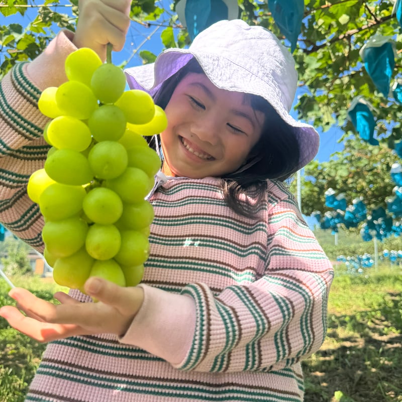 予約販売】【10月下旬以降～発送】【信州プレミアム】【シャインニーナ